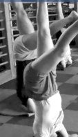 iyengar10.jpg