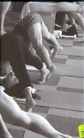 iyengar12.jpg