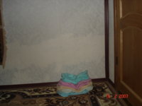 25.JPG 25.JPG