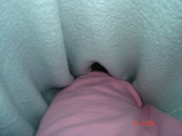 27.JPG 27.JPG