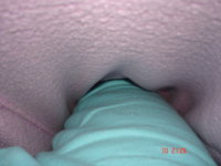 28.JPG 28.JPG