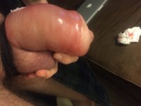 file-38.jpeg file-38.jpeg