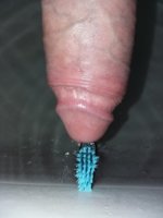 downloadfile-8.jpeg