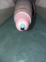 downloadfile-20.jpeg