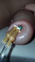 20160807_144651.jpg