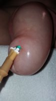 20160807_145505.jpg