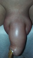 20160807_150122.jpg