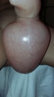 20160807_163732.jpg