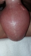 20160807_151638.jpg