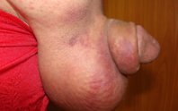 DSC05514.JPG
