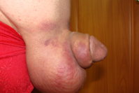 DSC05515.JPG