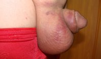 DSC05523.JPG