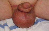 DSC05536.JPG
