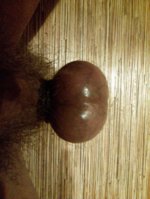 WP_000787.jpg