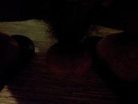 WP_000783.jpg