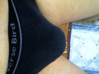 IMG0022A.jpg