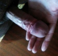 IMG_20170309_114546~2.jpg IMG_20170309_114546~2.jpg