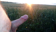 20170818_203227.jpg