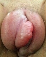 image1.jpeg