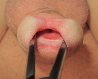 IMG_1425.jpeg