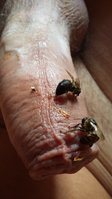 20180823_141929.jpg