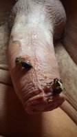 20180823_141924.jpg