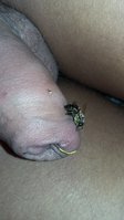 20180823_151520.jpg