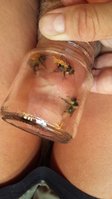 20180823_145806.jpg