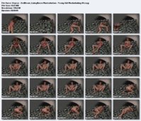 Voyeur___BedRoom___LivingRoom_Masturbation___Young_Girl_Masturbating_01.jpg