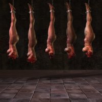 carcasses.jpg