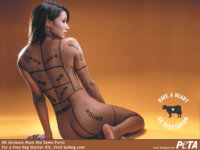 traci_1024.jpg