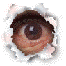 25788.gif