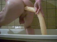 SL371385.JPG