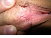 Èçîáðàæåíèå_0321.JPG