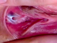 Êàðòèíêà0048.jpg