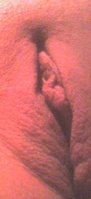 DSC00440.JPG