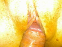20082008350_002.jpg
