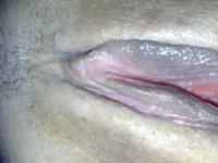 20082008357_002.jpg