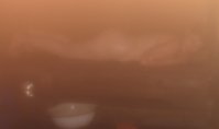 p16.jpg