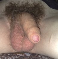 29012009239.jpg