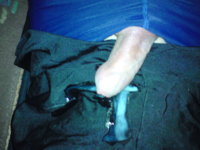 DSC00747.JPG