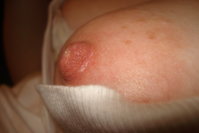 XXX_0000258.JPG