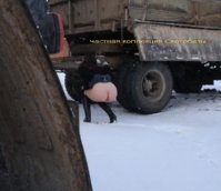 Êðàñèâàÿ_ïîïà_2.jpg