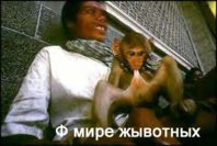 8461.jpg