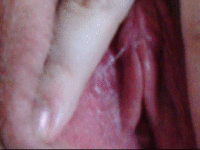 DSCF001_32.gif