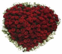 saab_roses.jpg