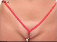 bikini1.jpg