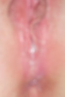 SL370541.JPG