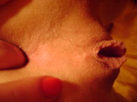 DSC00320.JPG