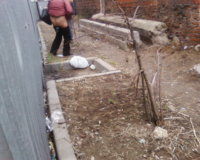 SP_A0026.jpg